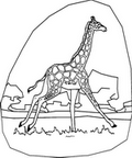 giraffe_cb_1